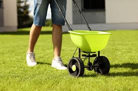I thought to myself, 'it might be a good time to overseed' but had no seed at the time and decided to wait a year even i was thinking of aerating again and overseeding. Why Late Summer Is The Best Time To Reseed Your Lawn Treesdale Landscape Company