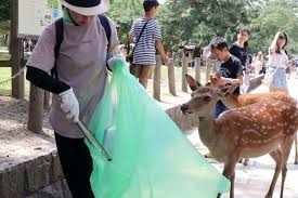 Sahabat mawa holiday, waktu operasional tempat wisata di cisarua bogor ini buka setiap hari mulai dari senin s/d minggu : Telan Sampah Plastik 9 Rusa Di Taman Terkenal Jepang Mati