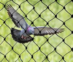 25 Ft X 50 Ft Heavy Duty Bird Netting Bird Netting Bird Control Bird