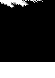 The inner part of cupronickel, the outer part of nickel brass. RecomandÄƒri Generale De CÄƒlÄƒtorie 3 Austria 8 Bulgaria ElveÈ›ia FranÈ›a Germania Italia Ungaria Pdf Kostenfreier Download