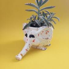 We did not find results for: Indoor Planters Coastal Reptile Vase Kitschy Sea Animals Flower Pot Antique Turtle Succulent Or Cactus Planter Figurine Statue Antique Ceramic Vase Home Living
