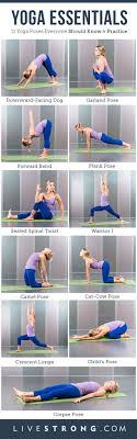 Which Type Of Yoga Is Right For You Essential Yoga Poses Easy Yoga Workouts Yoga Poses For Beginners