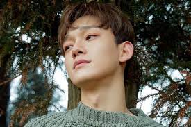 Chen (exo) lyrics met vertalingen: Chen Exo Profile And Facts Chen S Ideal Type Updated