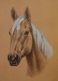 Coloring is about more than just crayons on paper. Drawing Of A Horse With Colour Novocom Top