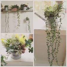 100均のフェイクグリーンでお部屋を可愛く ギャザリー 植物の装飾 フェイクグリーン インテリア グリーン