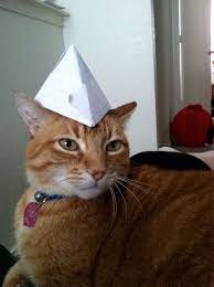 Nice Paper Hat Funnycats Cats With Hats Pet Costumes Cat Costumes