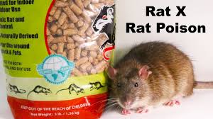 why rat x is the only rat poison i will