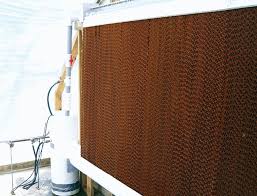 These homemade greenhouse ideas make use of recycled household materials in a fun new way. Use Fan And Pad Cooling This Summer Greenhouse Management