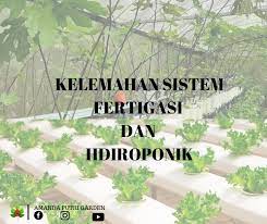 Air dan nutrien terletak dengan sempurna di zon penyerapan akar. Kelemahan Sistem Fertigasi Dan Amanda Putri S Garden Facebook