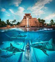 Parque aquático das Bahamas tem toboágua que passa por lago cheio de  tubarões - ClickREC