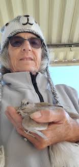 Hi all! I just wanted to introduce myself and share a photo I took