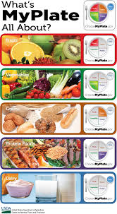 Myplate Teaches The 5 Food Groups Fruits Vegetables Grains Protein And Dairy Healthy Meals For Kids Nutrition Nutrition Recipes