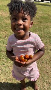 First tomatoes from my raised bed garden