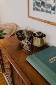 Search for hundreds of cacti and learn key information about each including photos, sun needs, water needs, hardiness zones, soil ph and so much more. 15 House Plants That Help Reduce Humidity In The Bathroom