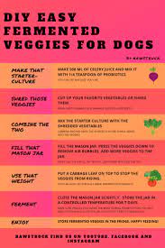 Diy Fermented Veggies For Dogs Super Easy No Salt Fermented Veggies Diy Dog Food Dog Food Recipes