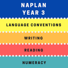 The body that conducts the tests, the australian curriculum assessment and reporting authority (acara), says there is plenty to celebrate about may's test results. The Importance Of The Naplan Test Asta Edu Au