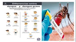 La enfermedad endemica son aquellas enfermadades infecciosas que afectan de forma permanente o en determinados. Enfermedades Endemicas Youtube