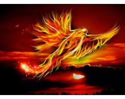 Check spelling or type a new query. El Simbolismo Del Fenix El Sendero Del Chaman