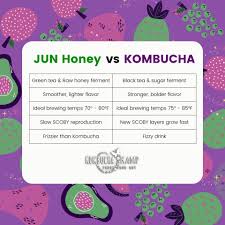 Fresh Kombucha SCOBY for Sale