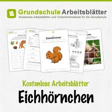 Kostenlose Arbeitsblatter Eichhornchen Unterrichtsmaterial Grundschule Fit Fur Die Schule