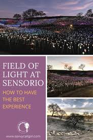 How To Have The Best Experience At Field Of Light At Sensorio In 2020 California Travel Field Visit California
