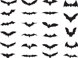 Bats Wiki Everything You Wanted To Know About Bats Ever