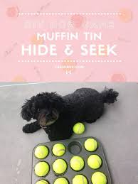 Pin On Dog Training