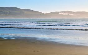 Doran Beach Bodega Bay Ca California Beaches