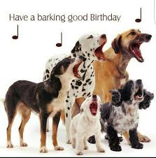 883b9bd2f0f54be2cc9bb3748d2b5019 Jpg 736 744 Alles Gute Zum Geburtstag Hund Hund Geburtstag Hundeweihnachtskarten