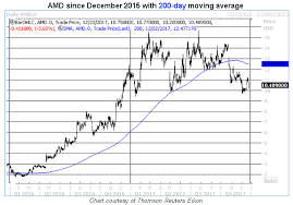 Traders Mine For Cheap Amd Puts As Bitcoin Plummets