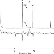 Image result for Hyparrhenia tamba