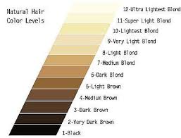 Hair Color Levels And Underlying Pigments Natural Hair Color Hair Color Chart Hair Levels
