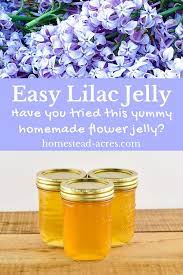 Lilac Jelly How To Make Lilac Flower Jelly Recipe Jelly Recipes Canning Recipes Dandelion Jelly