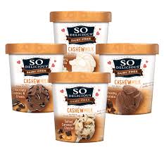 So Delicious Dairy Free Cashew Milk Frozen Dessert Pints Moms Meet