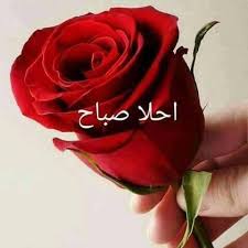أحلى صباح هي أمي الصبوحا good morning arabic morning greeting good morning quotes