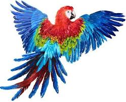 Download your free cross stitch pattern for free and enjoy countless hours of stitching. Free Pattern Here S A Cross Stitch World Community Facebook
