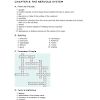 Nervous system crossword puzzle answer key. 1