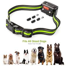 Whatever the breed, any dog that barks too loudly or too much can become more than a nuisance. Pin On Dog Bark Collars