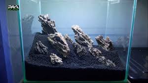 These realistic aquarium aquascape can be customized as gifts. Aquascape Iwagumi Style Step By Step Planting And Filling By Yulia Aquascape