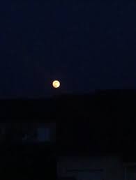 Pleine lune avril 2019 astrologie. Actu Avez Vous Vu La Lune Rose Arts In The City