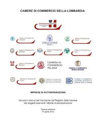 Autoriparatori Prontuario Cciaa Di Pavia Camere Di Commercio