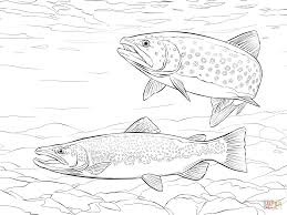 Super Coloring Free Printable Coloring Pages Dot To Dots Silhouettes And Drawing Tutorials Description From Sup Fish Coloring Page Trout Art Fish Drawings