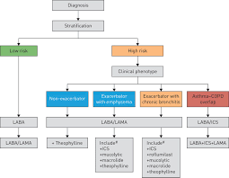 59 Perspicuous Copd Pathophysiology Concept Map