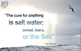 It eliminates infection, reduces pain, detoxes the body and serves a variety of purposes inside and outside the home. The Ocean Race On Twitter The Cure For Anything Is Salt Water Sweat Tears Or The Sea Isak Dinesen Vor Volvo Quote Http T Co 6wupaza2kt