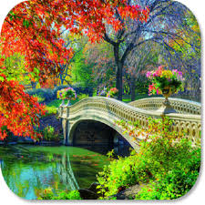 Digital, digital art, artwork, illustration, abstract, neon. Amazon Com Garden Hd Wallpapers Apps Games