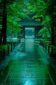 雨の日の平林寺 by irumania id 6014277 写真共有サイト photohito 風景 風景の壁紙 背景 写真