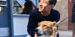 Experience the journey of many lifetimes on may 17. A Dog S Journey Clickthecity Movies
