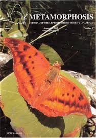 Image result for Oncocalyx bolusii