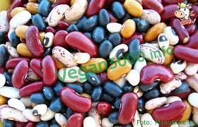 We did not find results for: Vegan3000 Info Vegan Recipe Baked Beans
