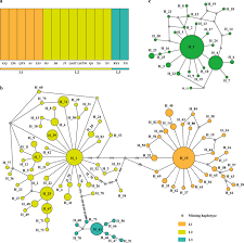 Image result for Euphorbia distinctissima